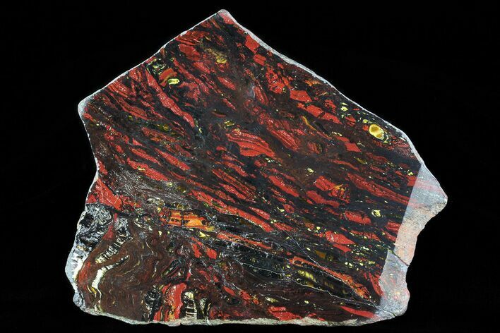 Polished Tiger Iron Stromatolite - ( Billion Years) #75847